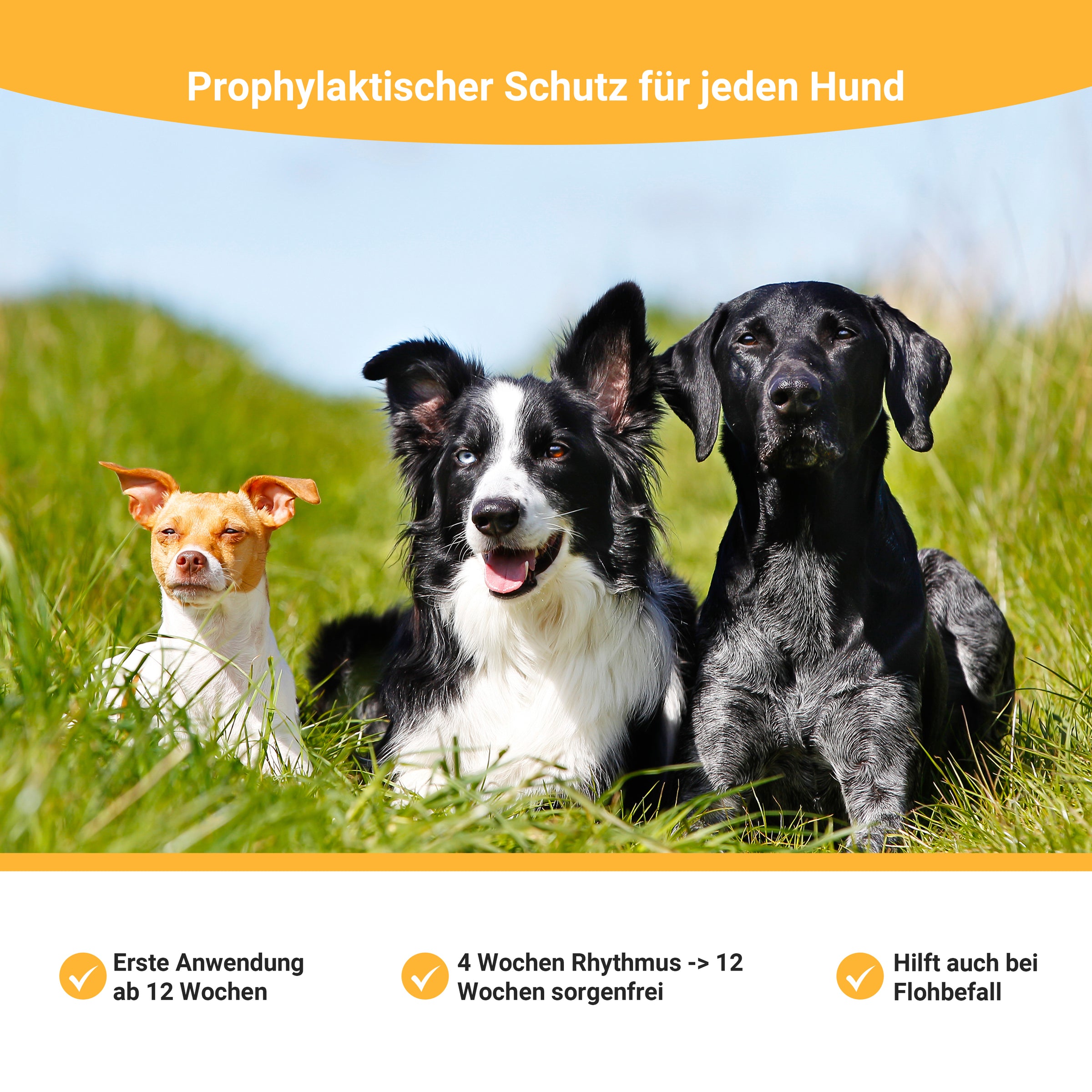 SPOT ON Zeckenschutz