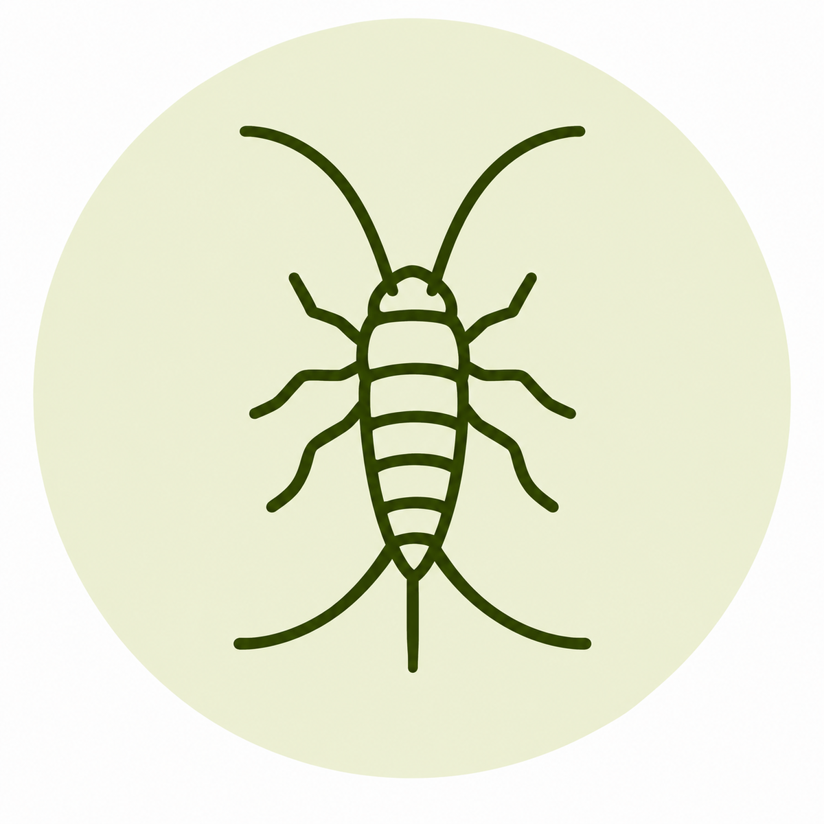 Silberfische