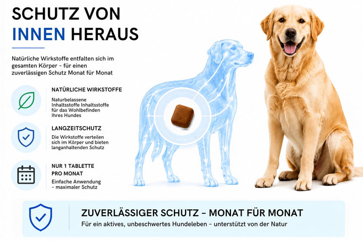 Animal Vita® Kautabletten für Hunde gegen Zecken &amp; Flöhee [3 Monate Schutz]