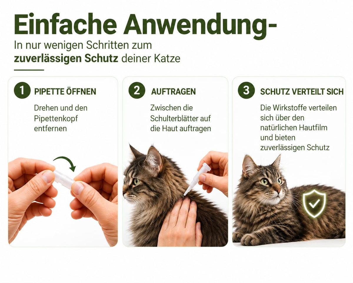 Animal Vita® Combo Spot On natürlicher Zeckenschutz für Katzen [6 Monate Schutz]
