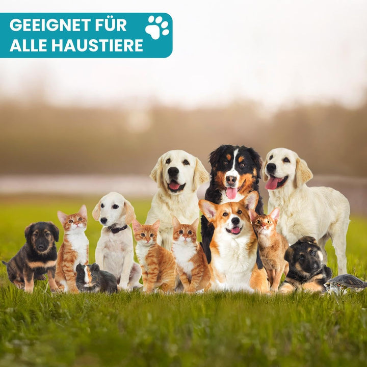 Animal Vita® Giardien Schnelltest für Hund & Katze