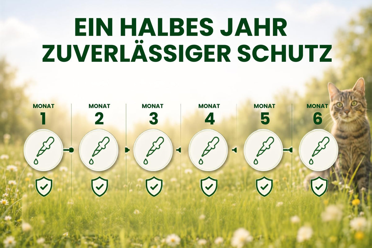 Animal Vita® Combo Spot On natürlicher Zeckenschutz für Katzen [6 Monate Schutz]