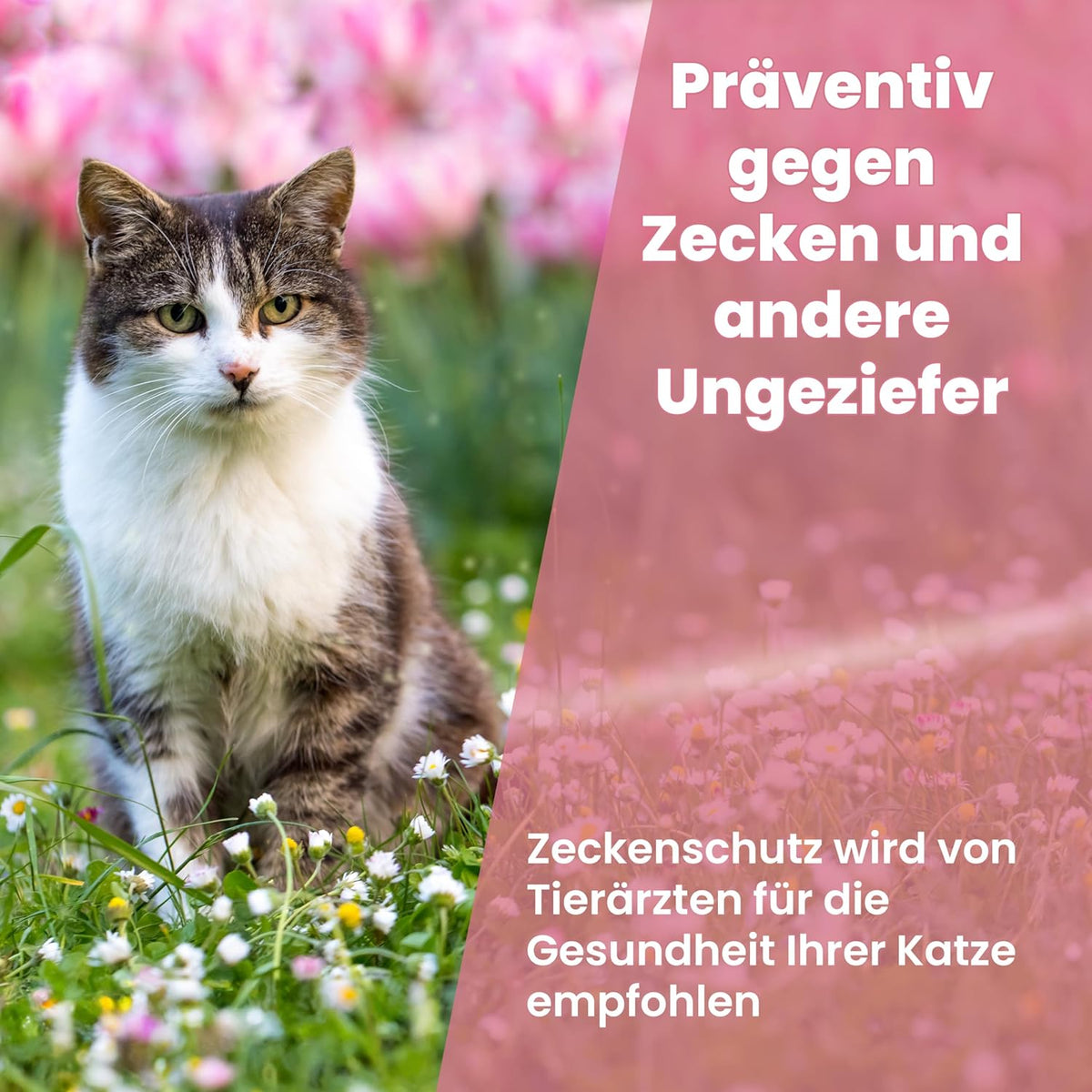 Animal Vita® Spot On Zeckenschutz für Katzen [zuverlässiger Zeckenschutz]