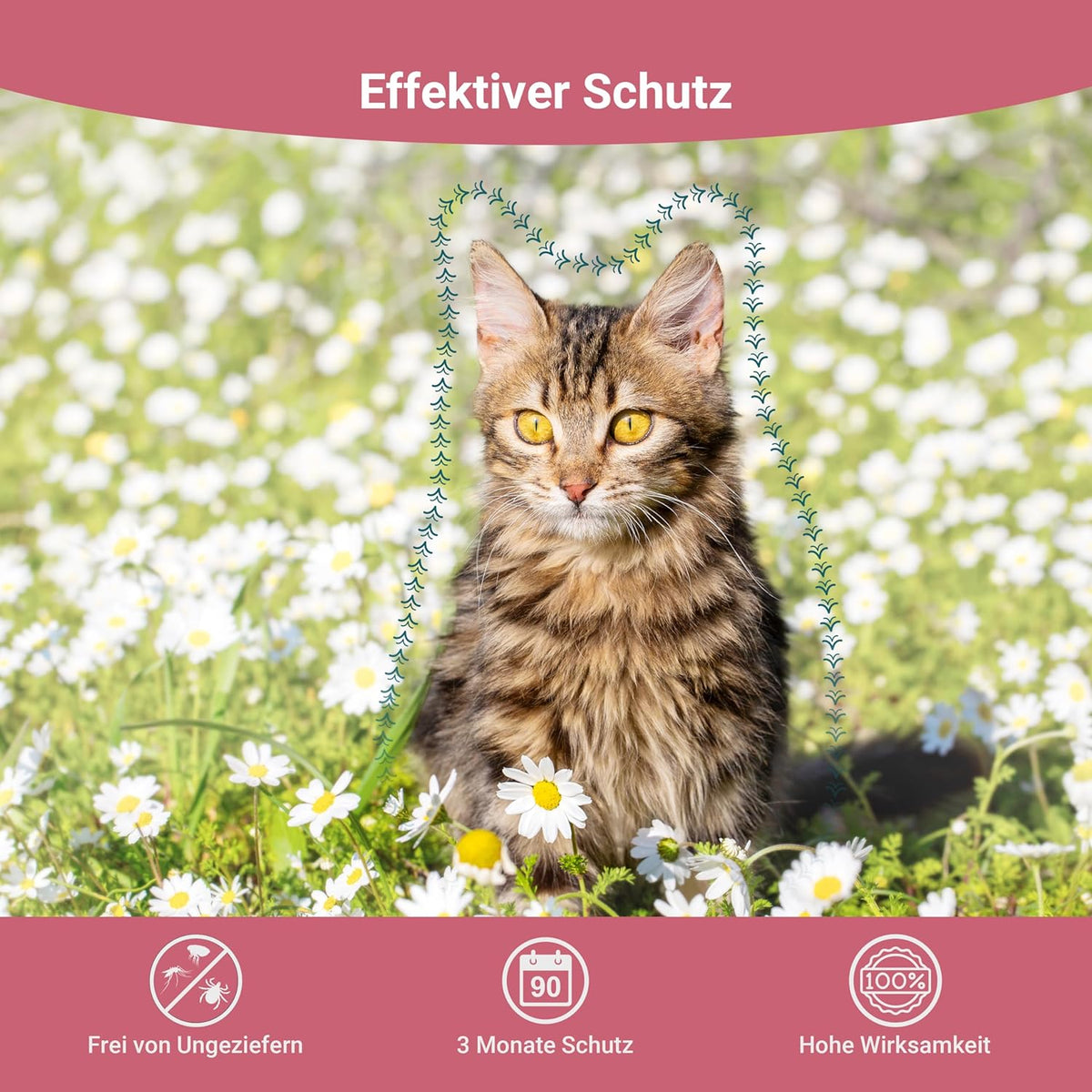 Animal Vita® Spot On Zeckenschutz für Katzen [zuverlässiger Zeckenschutz]