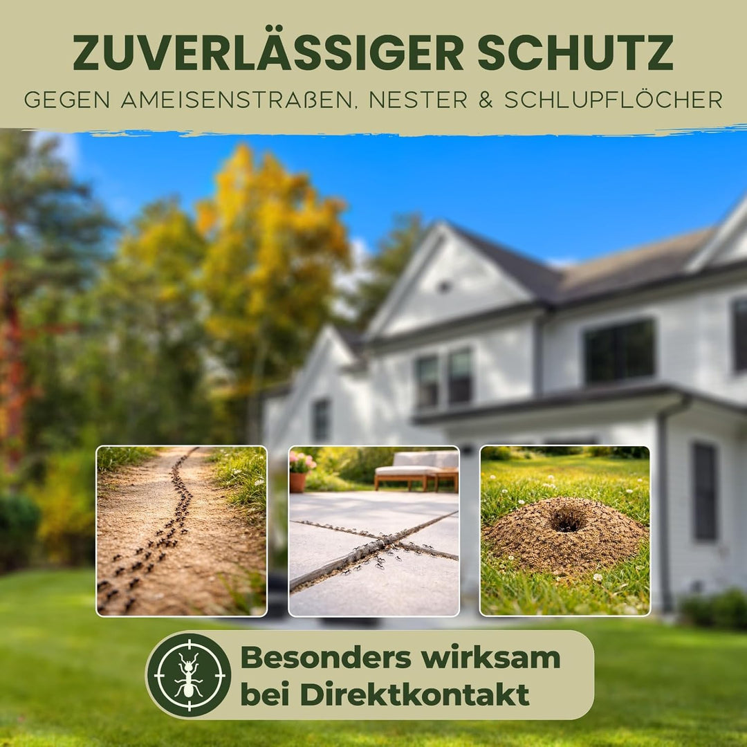 Ameisen Premium Spray [hochwirksam]
