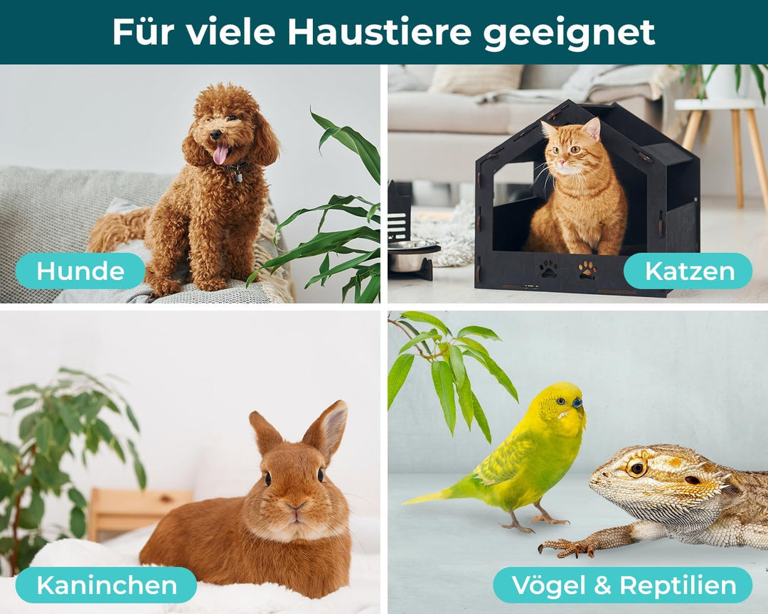 Animal Vita® Giardien Schnelltest für Hund & Katze