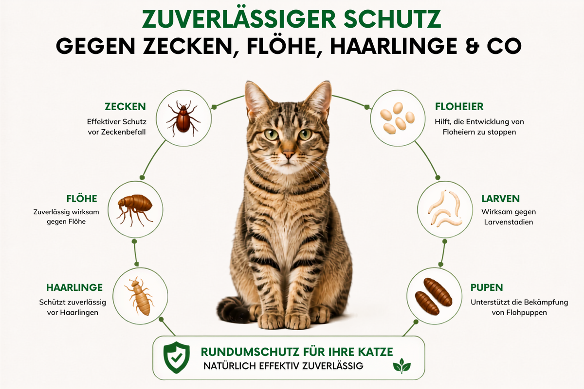 Animal Vita® Combo Spot On natürlicher Zeckenschutz für Katzen [6 Monate Schutz]