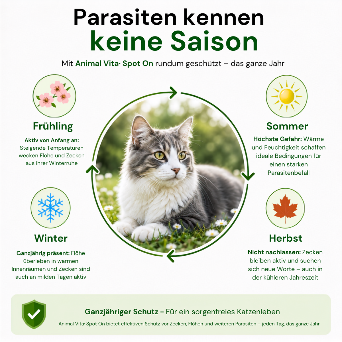 Animal Vita® Combo Spot On natürlicher Zeckenschutz für Katzen [6 Monate Schutz]