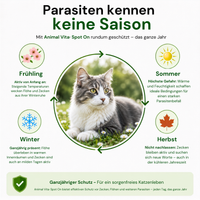 Animal Vita® Combo Spot On natürlicher Zeckenschutz für Katzen [6 Monate Schutz]