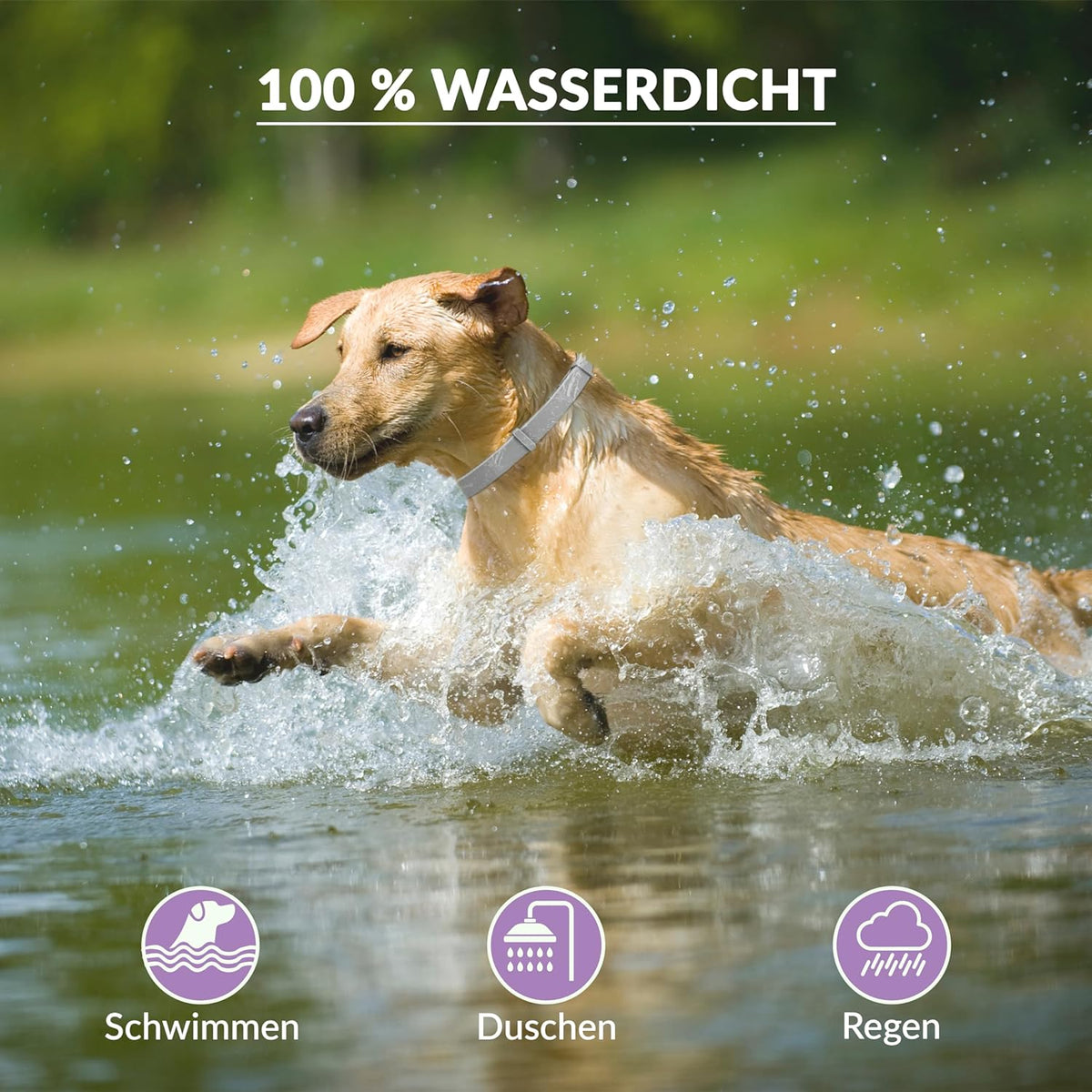 Animal Vita® Lavendel Zeckenhalsband für Hunde