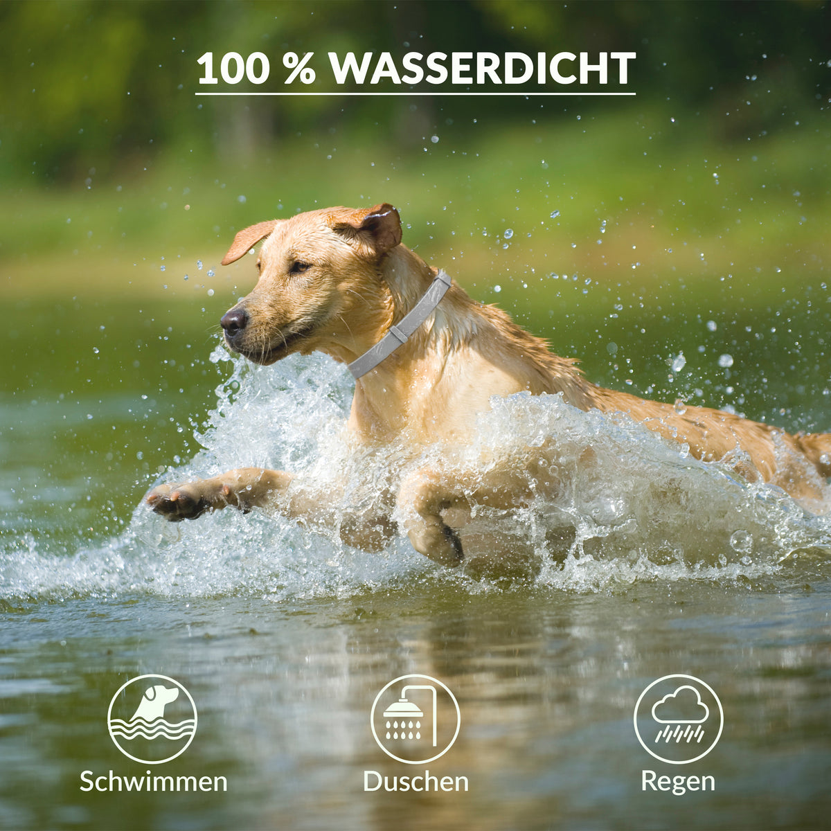Animal Vita® Premium Zeckenhalsband für Hunde