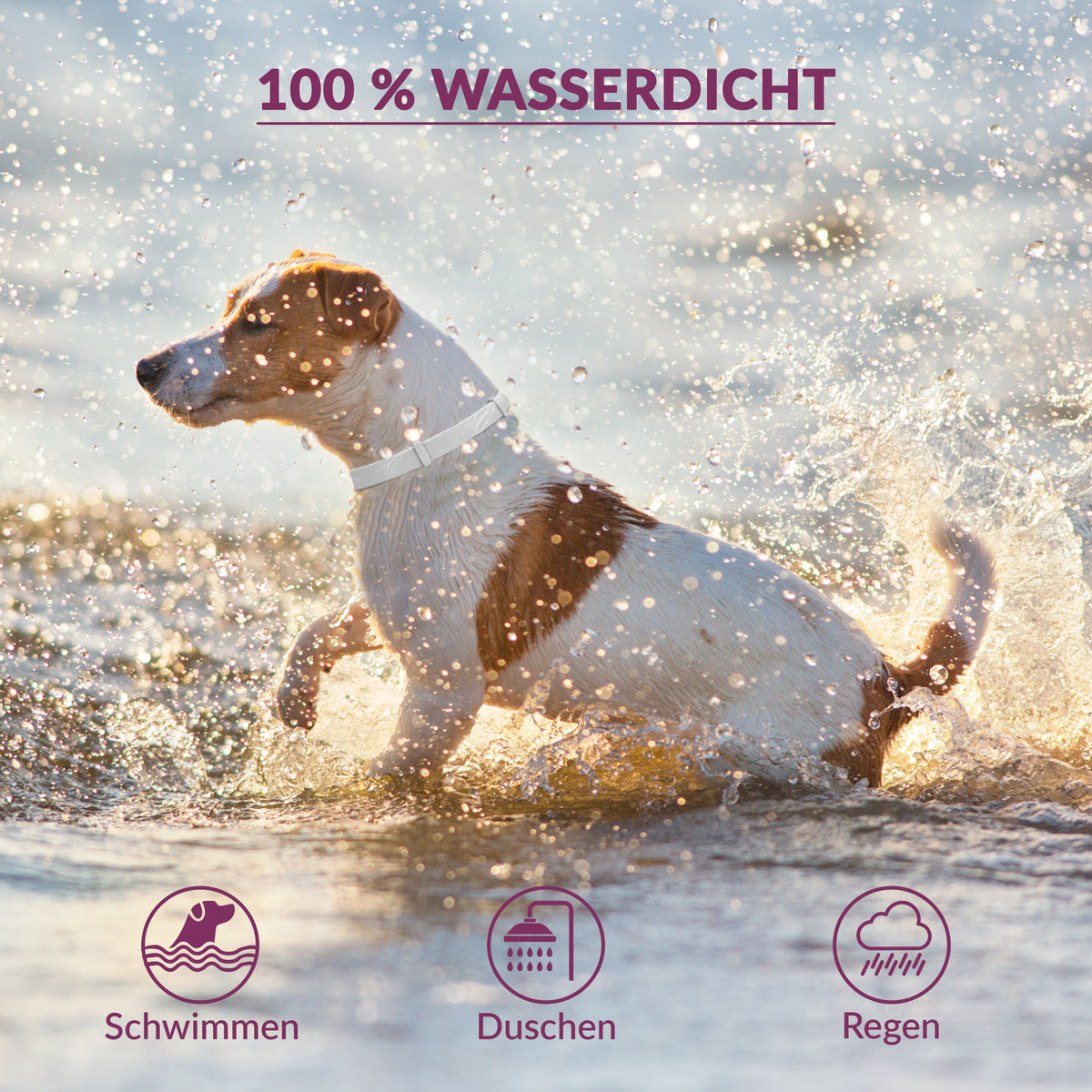 Animal Vita® Premium Zeckenhalsband für kleine Hunde